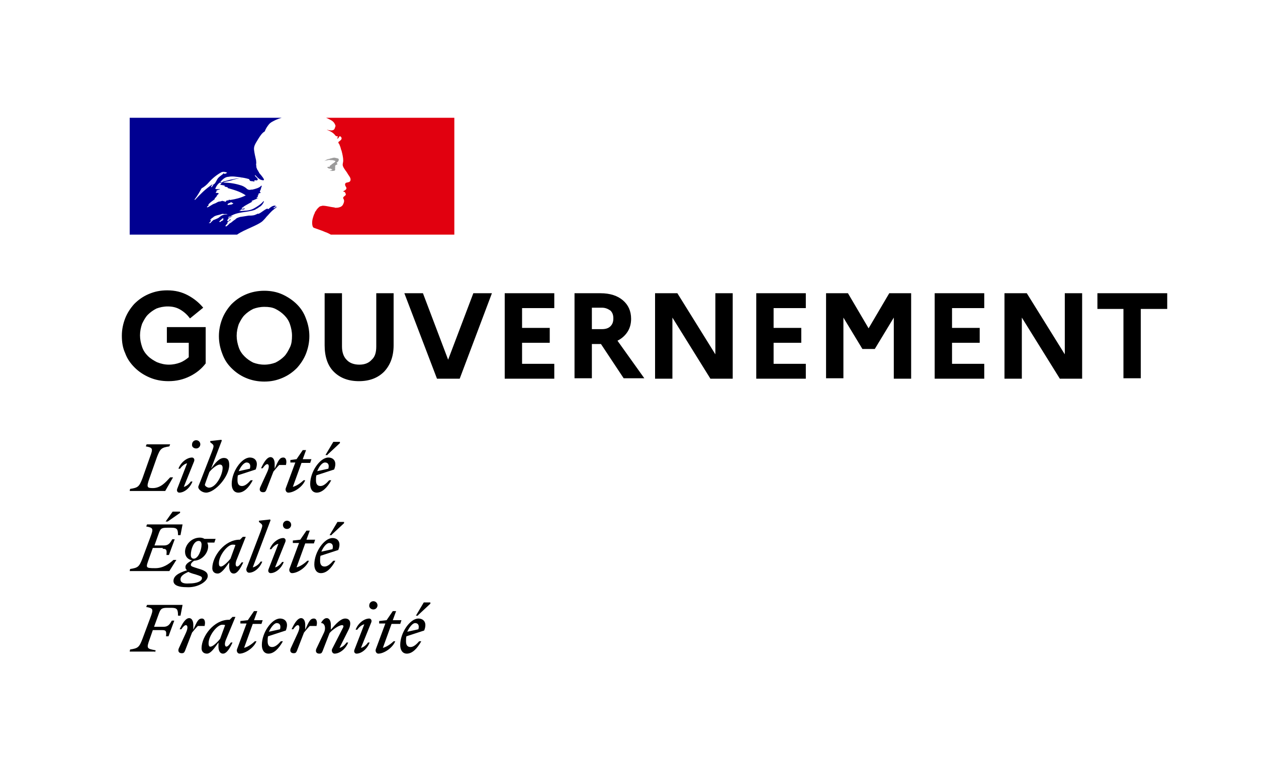 Logo Gouvernement Francais